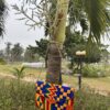 pochette africaine en wax suspendue à un arbre